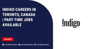 Indigo Careers